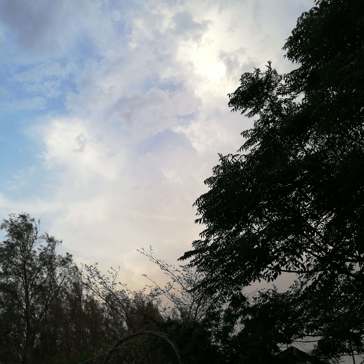 مشاركاتي في أنت الراصد