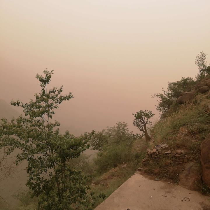 مشاركاتي في أنت الراصد