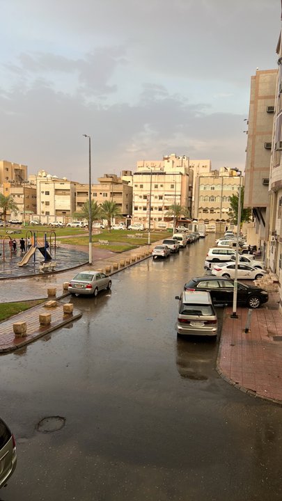 مشاركاتي في أنت الراصد