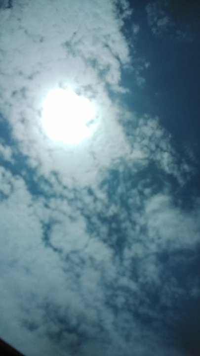 مشاركاتي في أنت الراصد