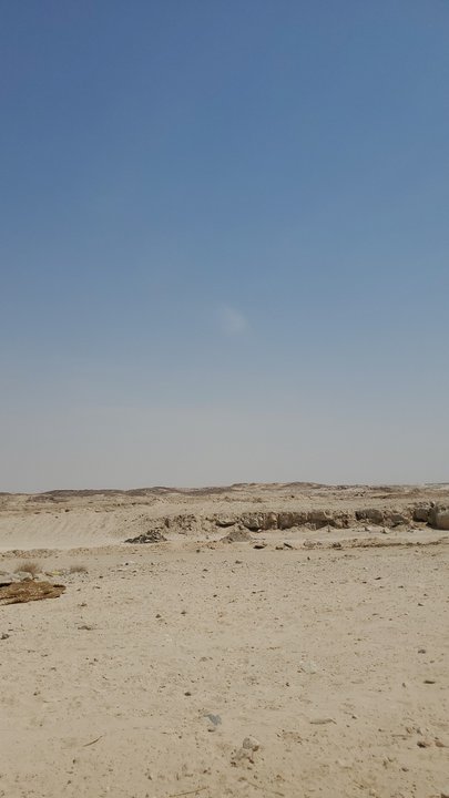 مشاركاتي في أنت الراصد