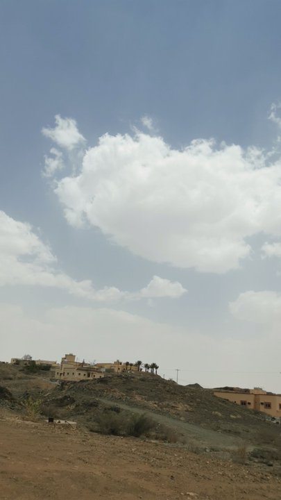 مشاركاتي في أنت الراصد