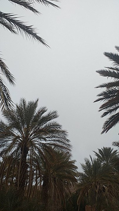 My Crowdsourcing Posts