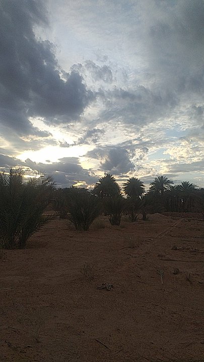 مشاركاتي في أنت الراصد