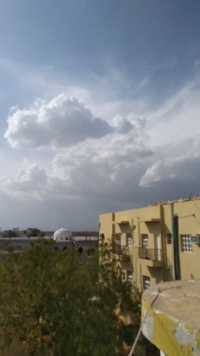 مشاركاتي في أنت الراصد