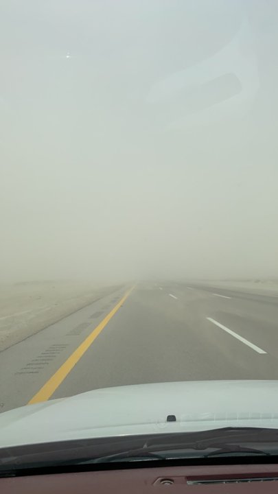 مشاركاتي في أنت الراصد