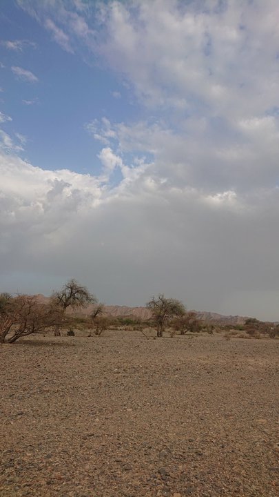 مشاركاتي في أنت الراصد