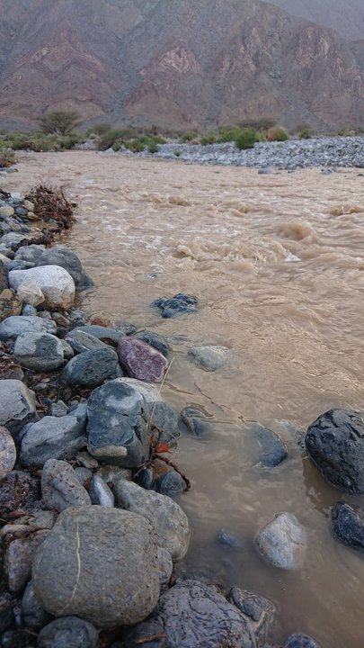 مشاركاتي في أنت الراصد