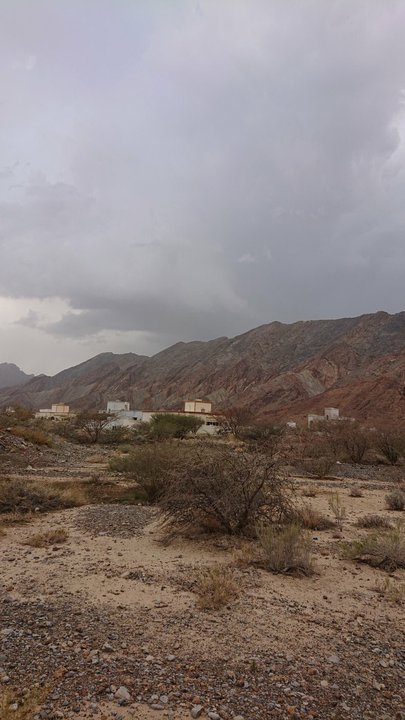 مشاركاتي في أنت الراصد