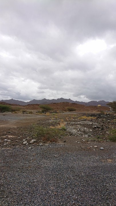 My Crowdsourcing Posts