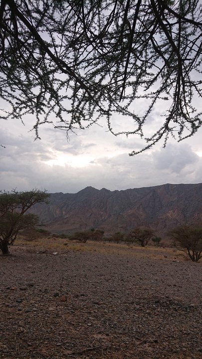 My Crowdsourcing Posts