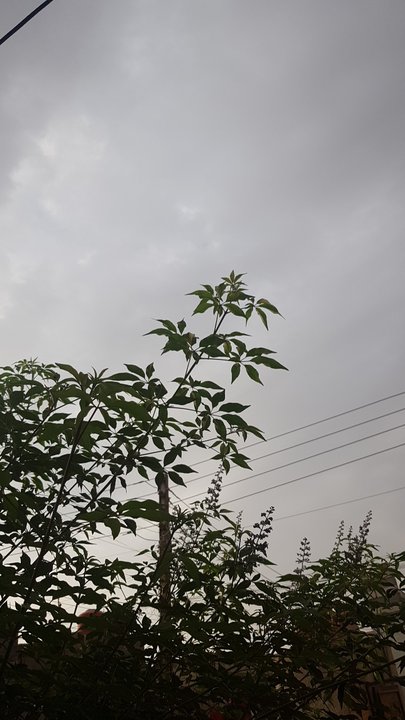 My Crowdsourcing Posts