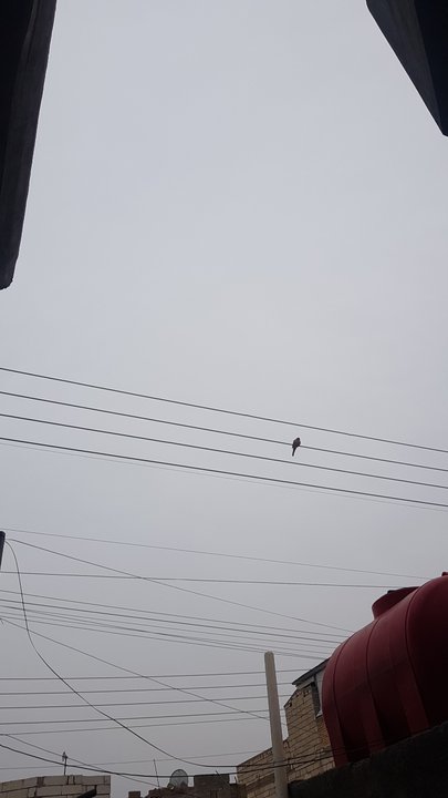 My Crowdsourcing Posts