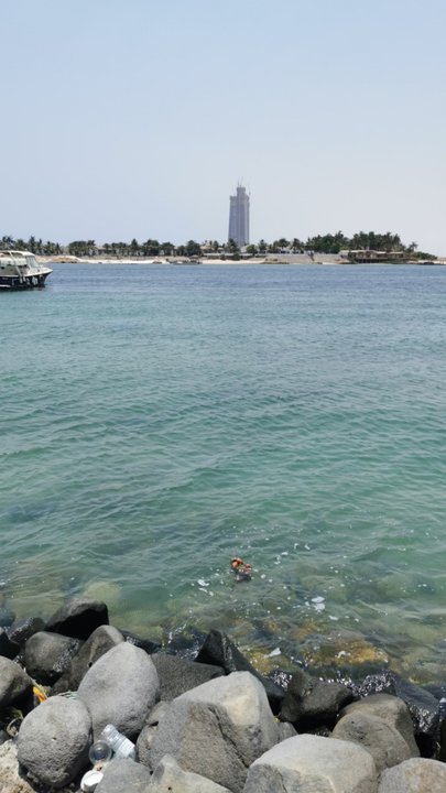 مشاركاتي في أنت الراصد