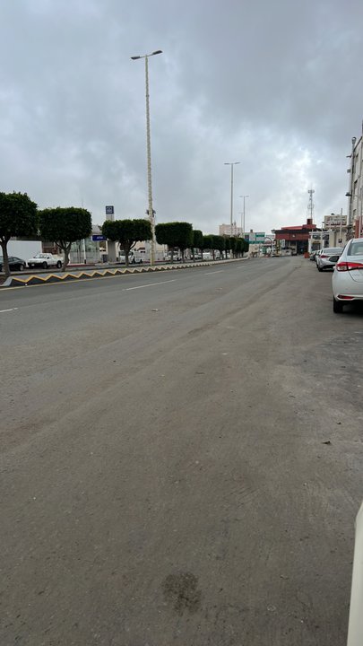 مشاركاتي في أنت الراصد