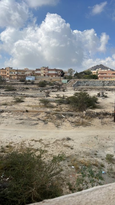 مشاركاتي في أنت الراصد