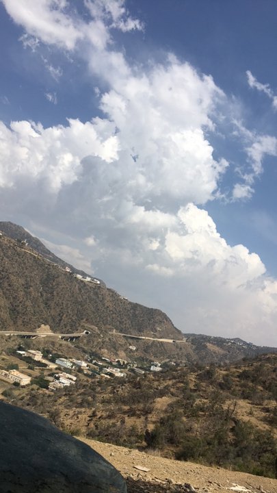 مشاركاتي في أنت الراصد