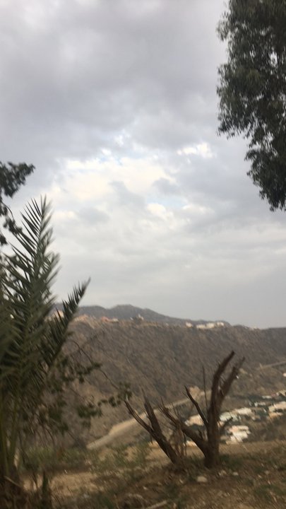 مشاركاتي في أنت الراصد