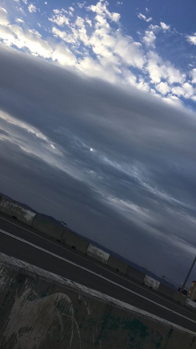 Mes publications Crowdsourcing