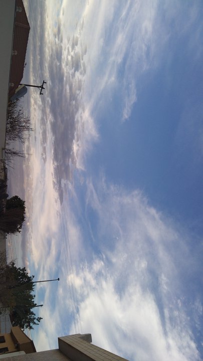 مشاركاتي في أنت الراصد