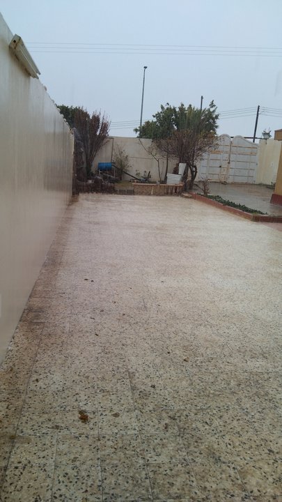 مشاركاتي في أنت الراصد