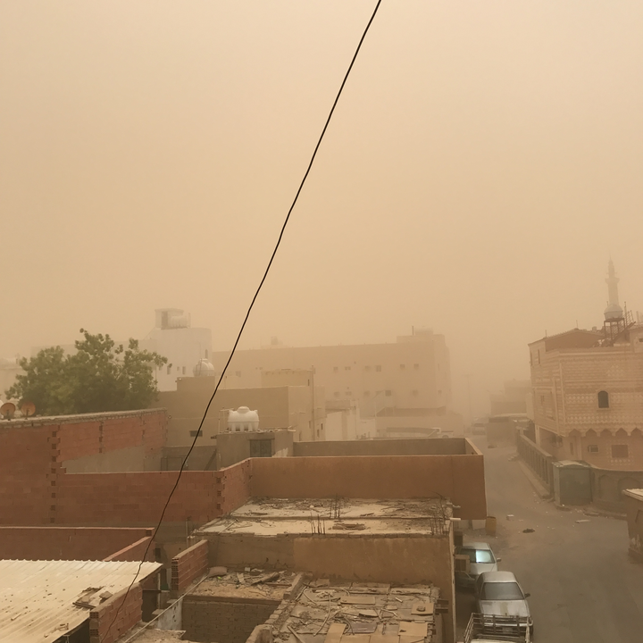 مشاركاتي في أنت الراصد