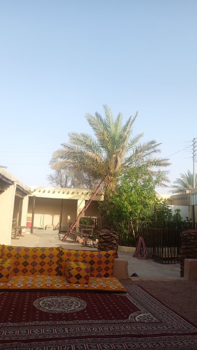 My Crowdsourcing Posts