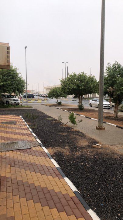 مشاركاتي في أنت الراصد