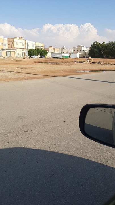 مشاركاتي في أنت الراصد