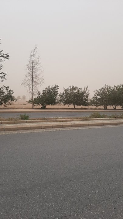 Mes publications Crowdsourcing