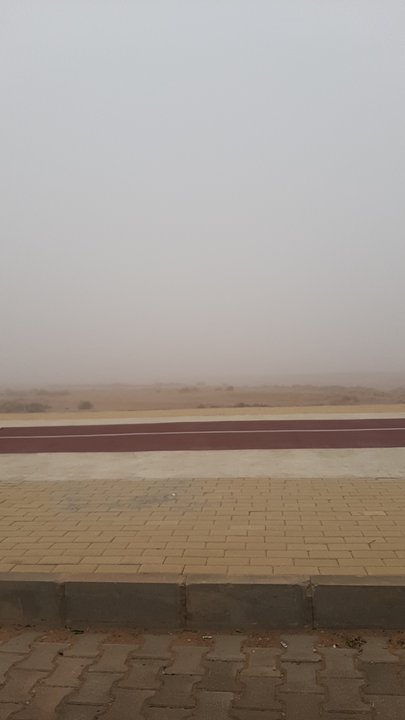 Mes publications Crowdsourcing