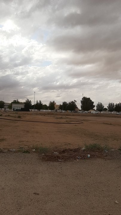 Mes publications Crowdsourcing