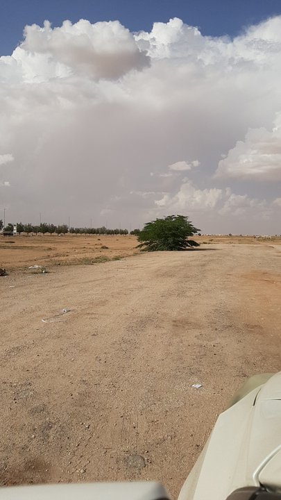 Mes publications Crowdsourcing