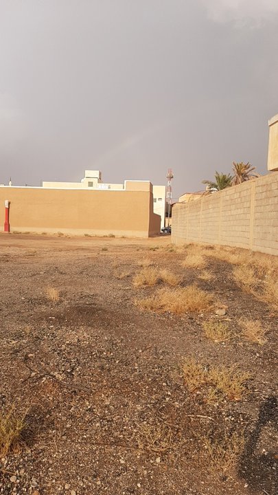 My Crowdsourcing Posts