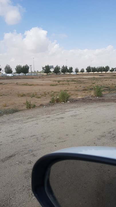 مشاركاتي في أنت الراصد