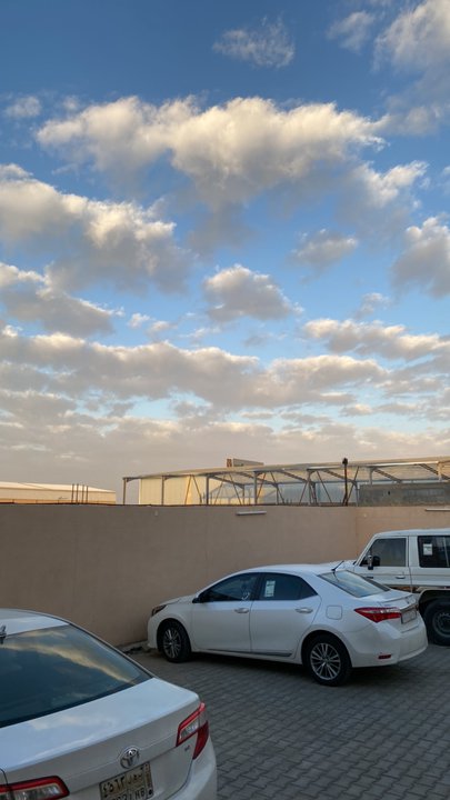 مشاركاتي في أنت الراصد