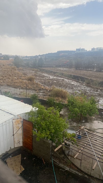 مشاركاتي في أنت الراصد