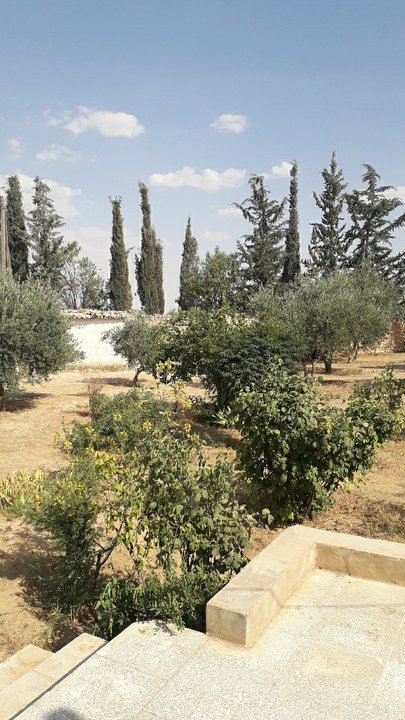 مشاركاتي في أنت الراصد