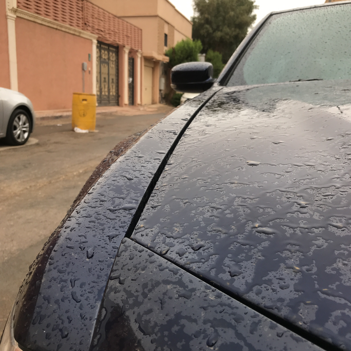 مشاركاتي في أنت الراصد