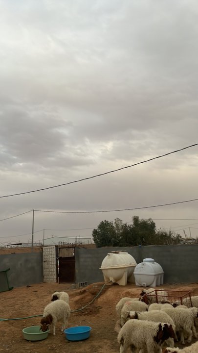 Mes publications Crowdsourcing