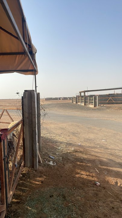 Mes publications Crowdsourcing