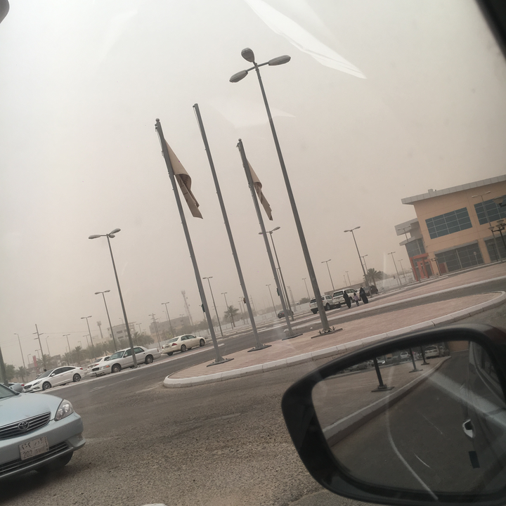 مشاركاتي في أنت الراصد