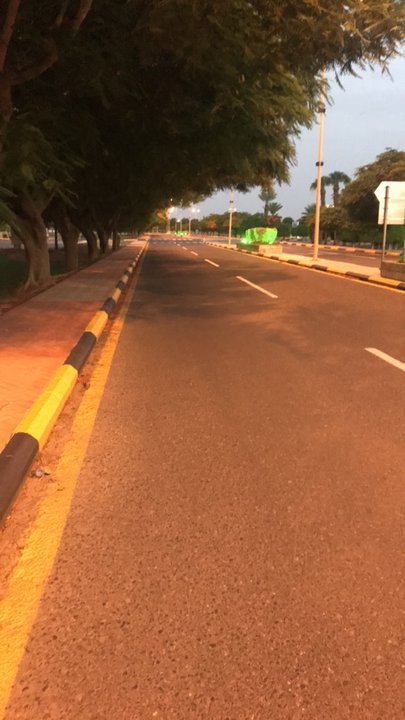 مشاركاتي في أنت الراصد