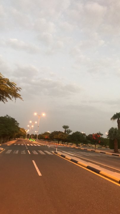 مشاركاتي في أنت الراصد