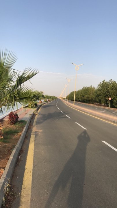 مشاركاتي في أنت الراصد