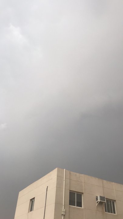 مشاركاتي في أنت الراصد