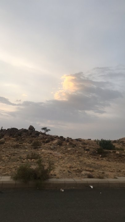 مشاركاتي في أنت الراصد