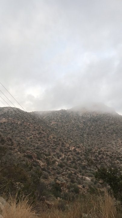 مشاركاتي في أنت الراصد