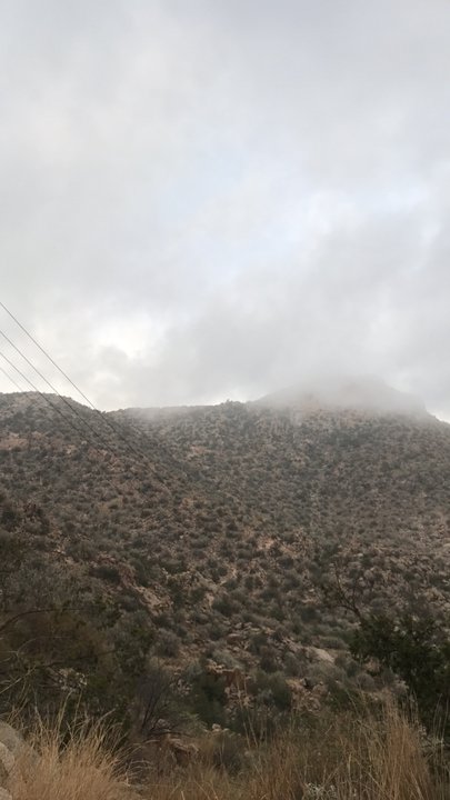 مشاركاتي في أنت الراصد