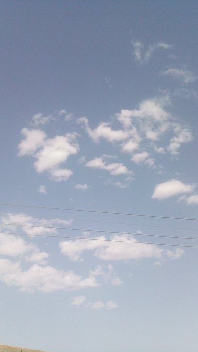 مشاركاتي في أنت الراصد